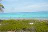 DSC00247.JPG