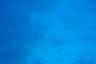 DSC00266.JPG