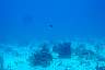 DSC00271.JPG