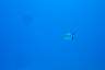 DSC00274.JPG