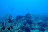 DSC00278.JPG