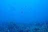 DSC00285.JPG