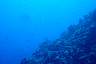 DSC00293.JPG