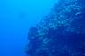 DSC00296.JPG