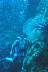 DSC00297cc.JPG