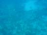 DSC02968.JPG