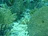 DSC02989.JPG