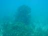 DSC03168.JPG