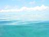 DSC03416s.JPG
