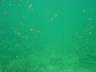 DSC03437s.JPG