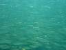 DSC03474s.JPG