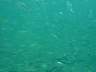 DSC03477s.JPG