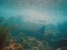 DSC03494ca.JPG