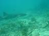 DSC03504s.JPG
