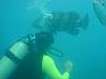 DSC04154.jpg