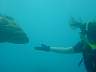 DSC04159.jpg