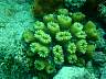 DSC04176.jpg