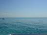 DSC04256.jpg