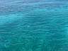 DSC04264.jpg