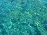 DSC04273.jpg