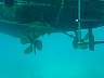 DSC04276.jpg