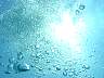 DSC04287.jpg