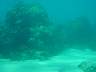 DSC04584.jpg