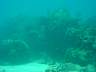 DSC04587.jpg