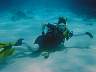DSC04610cb.jpg