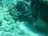 DSC04614.jpg