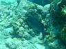DSC04615.jpg