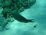 DSC04616.jpg
